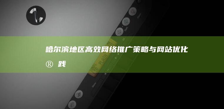 哈尔滨地区高效网络推广策略与网站优化实践